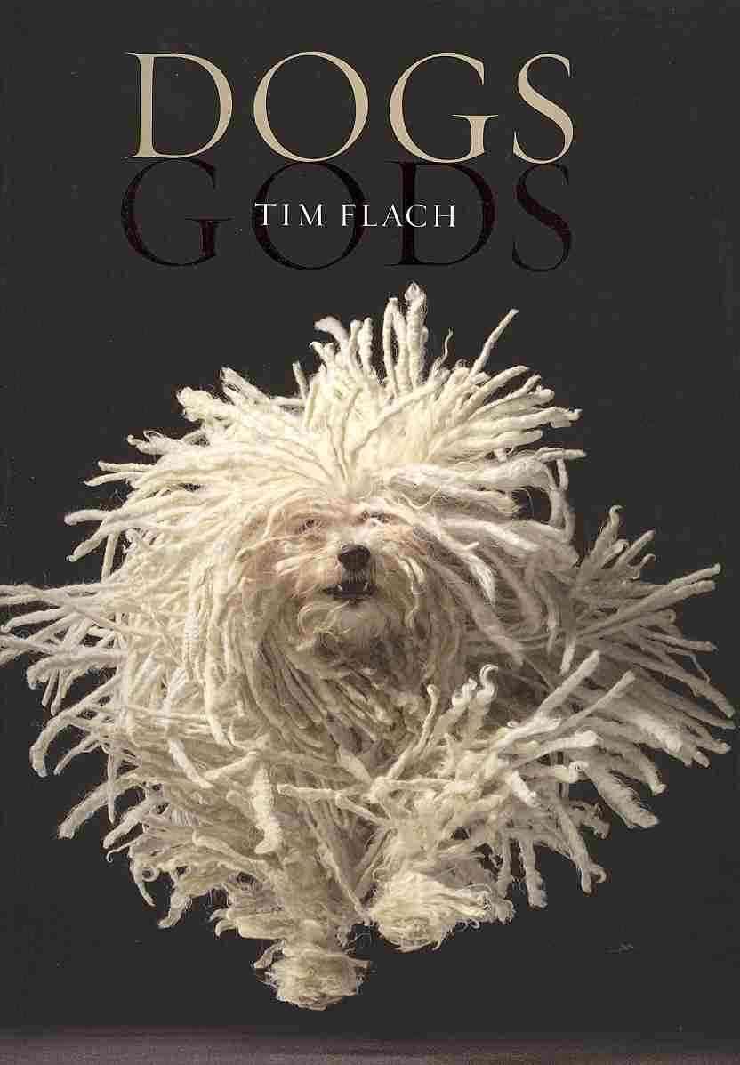 Dogs: by Tim Flach