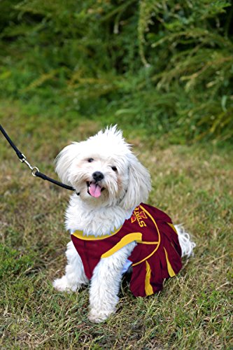 Pets First Collegiate Iowa State Cyclones Dog Cheerleader Dress, X-Small, Model:is-4007-Xs #TOP2