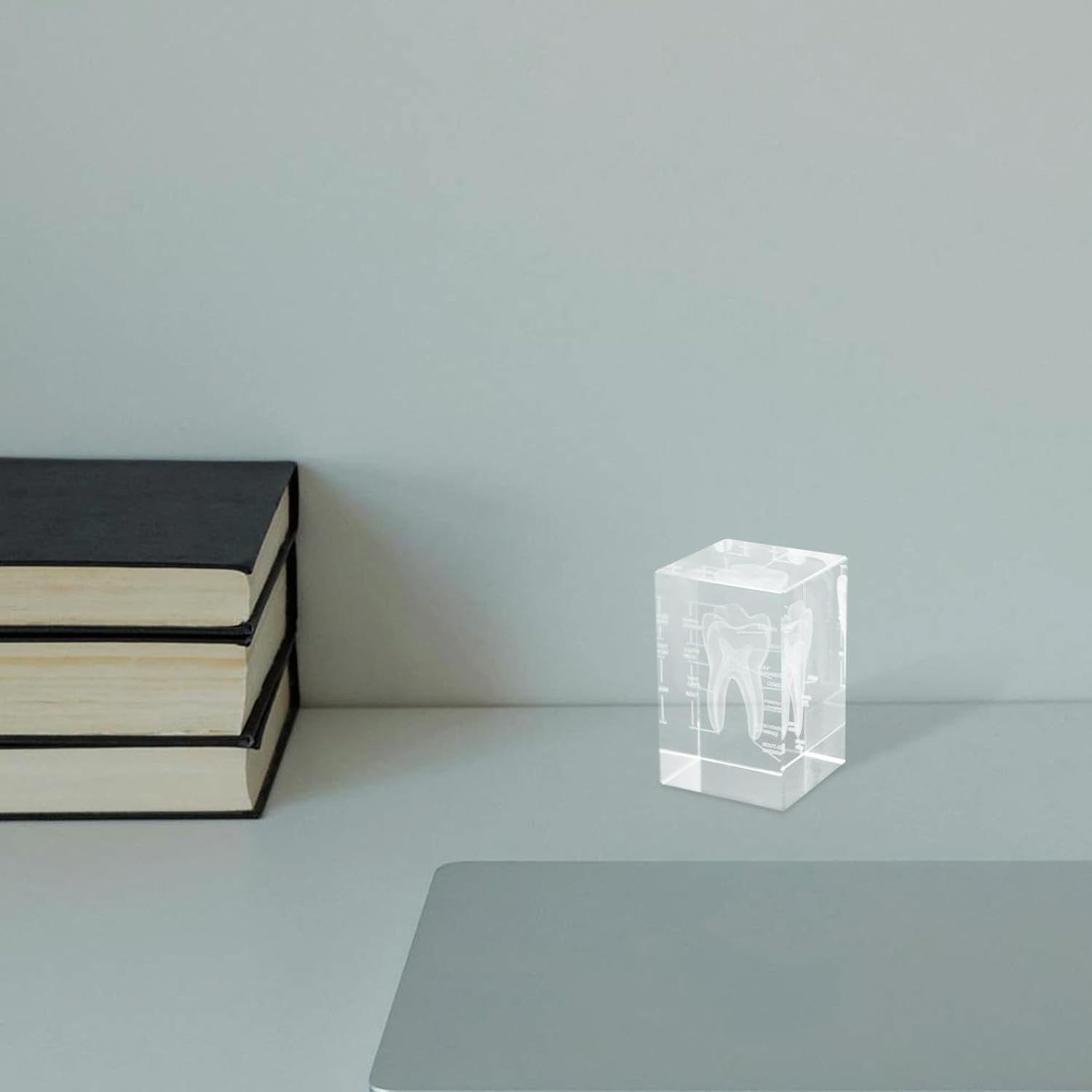 3D Crystal Human Tooth Anatomy Figurine Science Display Paperweight for Dental Students Educational Decoration