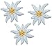 Produktbild 3 TLG. Set: kleine Blüten Edelweiss - 3,5 cm * 3 cm Bügelbild - Aufnäher Applikation - weiße / beige / Ivory Edelweiß - Alpenblume - Blumen Blüten für Trachte..