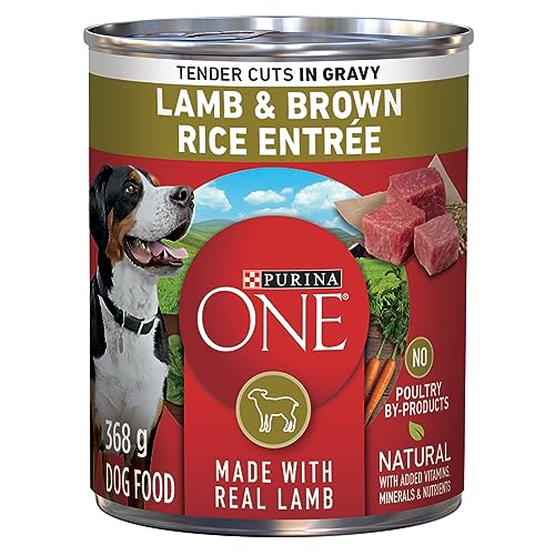 Purina ONE Tender Cuts Wet Dog Food, in Gravy Lamb & Brown Rice Entree - 368 g Can (12 Pack) image 7