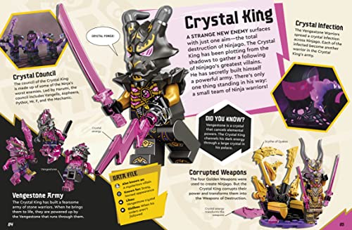 Lego Ninjago Secret World of the Ninja (Library Edition): Without Minifigure