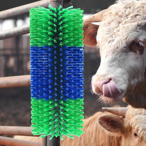 Brosse de massage pour vache et mule double vis anti-grattage - 3