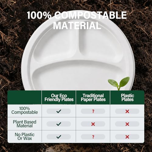 Compostable Paper Plates: 9 Inch 125 Pack 3 Compartment Heavy Duty Disposable Paper Plate - Unbleached Biodegradable Sugarcane Fibers Plates for Daily Party Weddings Outdoor Birthday Parties - White — view 6