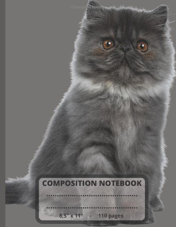 Composition Notebook 8,5 x 11 - 110 pages: Cute Cat School Notebook - Wide Ruled Paper - Composition Notebook College Ruled