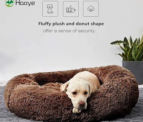 Image of ZEXSAZONE Summer Round Donut Comfortable Durable 2 in 1 and Washable Pet Bed | Cat Bed | Puppy Bed | Dog Bed | Medium Dog Bed for Cats Puppies Labrador German (Brown, Large)