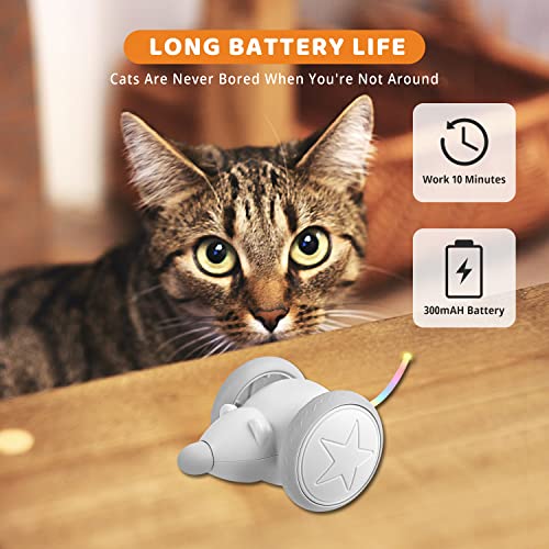 Leqsdijk Interactive Cat Toys For Indoor Cats, Automatic Cat Toys With Led Light, Mouse Electric Cat Mice Toys, Kitten Toys, Usb Rechargeable, Auto On/Off, Best Cat Toys For Pet Exercise Playing #TOP6
