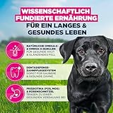 Eukanuba Hundefutter Trocken mit frischem Huhn für große Rassen, Premium Trockenfutter für ausgewachsene Hunde, 3 kg