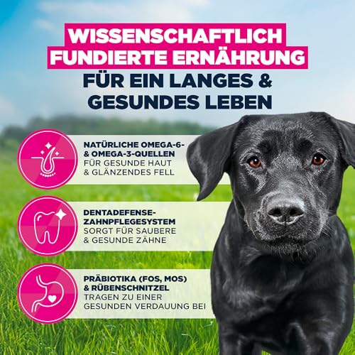 Eukanuba Hundefutter Trocken mit frischem Huhn für große Rassen, Premium Trockenfutter für ausgewachsene Hunde, 3 kg