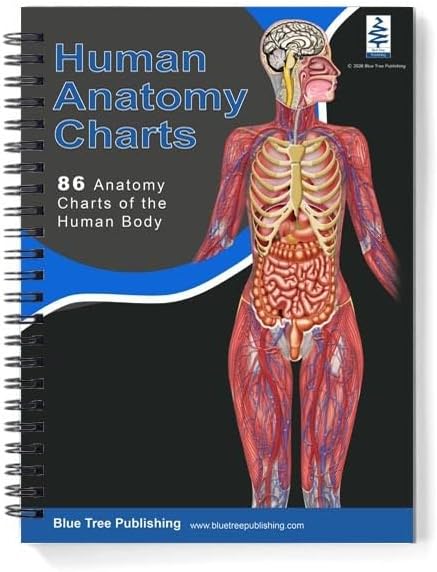 Blue Tree Publishing Complete Human Anatomy Charts: 86 Full-Color Reference Charts Covering Every Body System — For Students, Healthcare Professionals & Educators