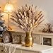 Hapart Fluffy Dried Pampass Grass Bouquet All-Natural Dried Plants with Ivory Bunny Tails for Vase Home Boho Decor Floral Centerpieces for Table 90Pcs