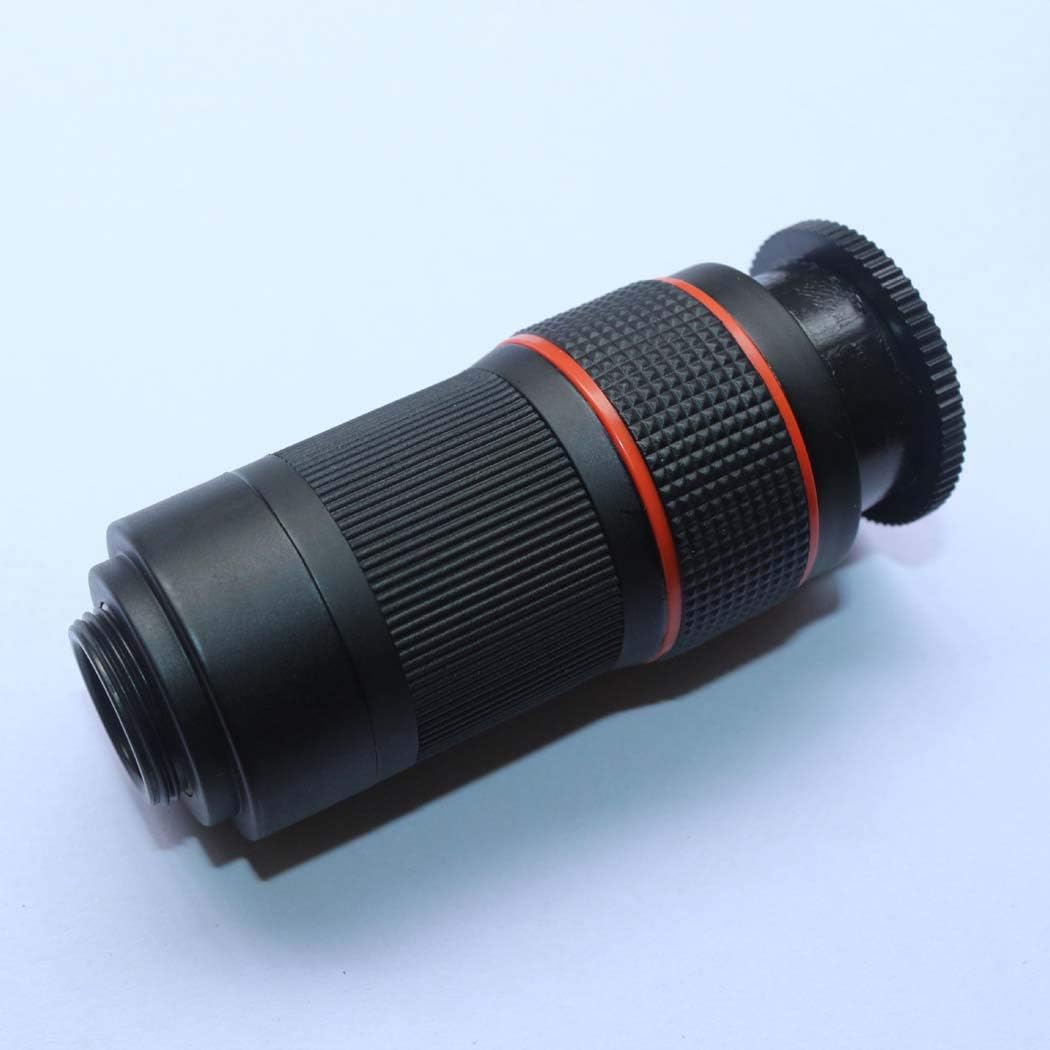 bird watching all'aperto per i bambini