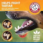 Arm & Hammer for Pets Tartar Control Dental Spray for Dogs | Dog Dental Spray Reduces Plaque & Tartar Buildup Without Brushing | Mint Flavor, 4 Ounces
