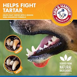 Arm-Hammer-for-Pets-Tartar-Control-Dental-Spray-for-Dogs-Dog-Dental-Spray-Reduces-Plaque-Tartar-Buildup-Without-Brushing-Mint-Flavor-4-Ounces - Cucciolini Doodles Arm-Hammer-for-Pets-Tartar-Control-Dental-Spray-for-Dogs-Dog-Dental-Spray-Reduces-Plaque-Tartar-Buildup-Without-Brushing-Mint-Flavor-4-Ounces