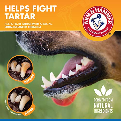 Arm-Hammer-for-Pets-Tartar-Control-Dental-Spray-for-Dogs-Dog-Dental-Spray-Reduces-Plaque-Tartar-Buildup-Without-Brushing-Mint-Flavor-4-Ounces - Cucciolini Doodles Arm-Hammer-for-Pets-Tartar-Control-Dental-Spray-for-Dogs-Dog-Dental-Spray-Reduces-Plaque-Tartar-Buildup-Without-Brushing-Mint-Flavor-4-Ounces