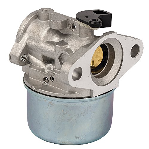 Carkio 799868 Vergaser mit Dichtung und O-Ring, Ersatz Compatible with Briggs & Stratton 498170 498254 497347 497314 Vergaser