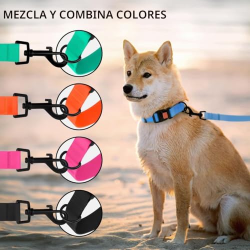 Miniatura 6 de Collardirect Collar Perro Ajustable Impermeable Con Hebilla Fácil De Abrochar - Collar Perros De Nailon Resistente Para Perros Pequeños Medianos Grandes Y Cachorros Neck Fit 18 -26 , Mint Green