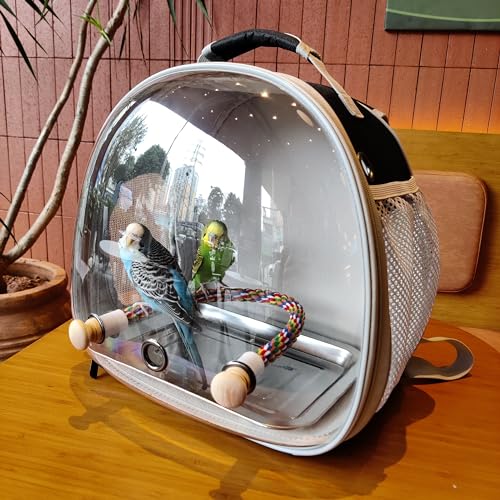 Image of Small Bird Travel Backpack Carrier Cage, Backpack to Transport Backpack Carrier with Metal Tray Stand Perch for Parakeet Cockatiel Budgies Vet Carry Book Bag Green