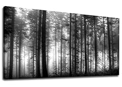 Black and White Foggy Forest