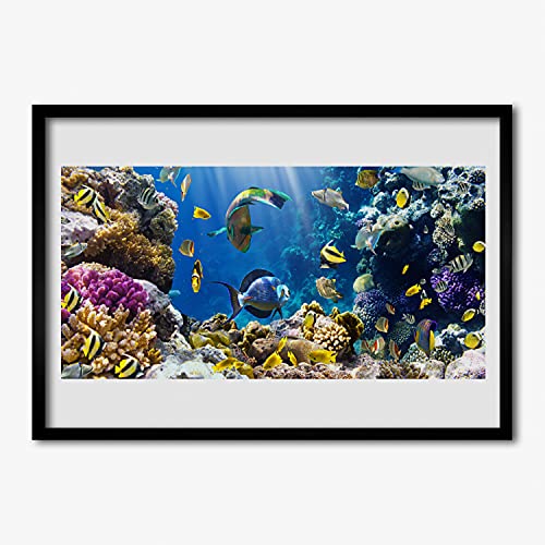 Cadre en MDF avec affiche récif de corail 100x70cm Tulup, tableau mural premium