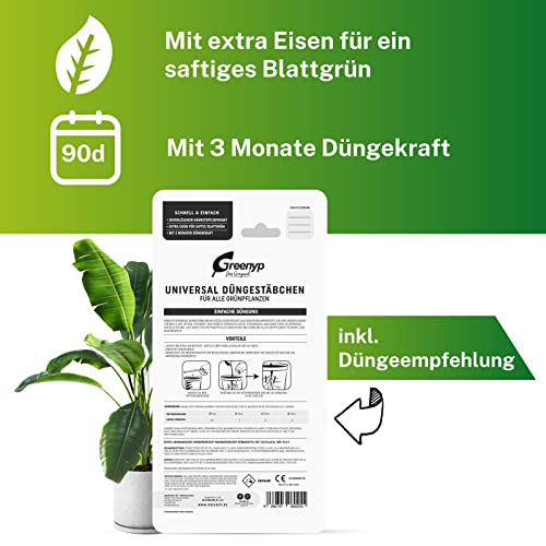 Biotaurus Pflanzenliebe ● Natürliche Dünger-Alternative für Zimmerpflanzen auf Basis lebender Mikroorganismen ● 250ml 2 Biotaurus Pflanzenliebe ● Natürliche Dünger-Alternative für Zimmerpflanzen auf Basis lebender Mikroorganismen ● 250ml – Bild 2