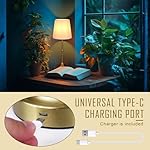 Rechargeable Battery Powered Table Lamp, Wireless LED Lamps, Cordless Touch Lamps, Stepless Dimmable Bedside Lamps, Night Lamp for Bedroom, Dinning Room, Kitchen Decor, Office (Bronze) - Image 5