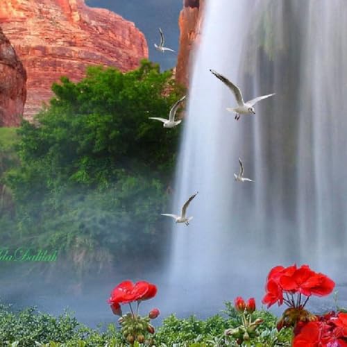 Grace For Living-FourSquare Gospel Church