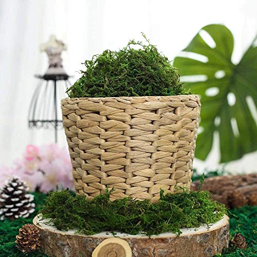 Farmoo Fake Moss For Crafts, Artificial Green Moss For Potted Plants Centerpieces Decor (3.5Oz) #TOP3