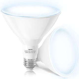 LIMERRI LED Flood Light Outdoor Bulb 2 Pack, PAR38 20W Flood Light Bulbs Replace Up to 200W, 1800LM, 5000K Daylight, Non-Dimmable,110V E26 Base Outdoor Light Bulbs for Backyard, Garage, Gardens