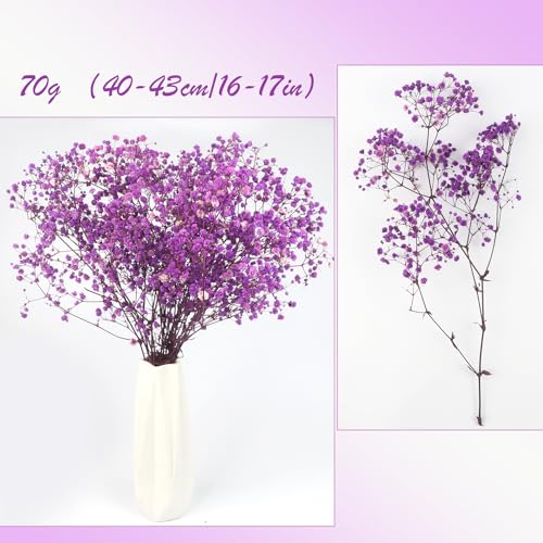 Dried Baby's Breath Flowers Bouquet Natural Dried Flowers Baby's Breath Real Gypsophila Branches for Wedding Table Vase Party Garden DIY Wreath Floral Home Decor(Purple) - Image 2