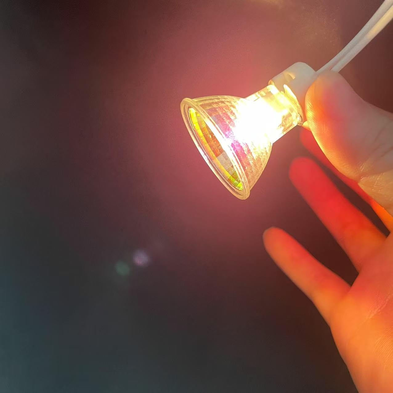 MR11 Halogenlampe,2700K Warmweiß,hoher Farbwiedergabeindex(CRI)95+ für naturgetreue Farbwiedergabe,dimmbar und flimmerfrei,für Kunstausstellungen, Schränke und Akzentbeleuchtung (10 Stück/6V 20W)