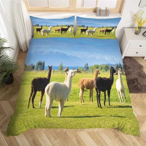 Housse de couette alpaga 220x240 transformant votre chambre en cocon