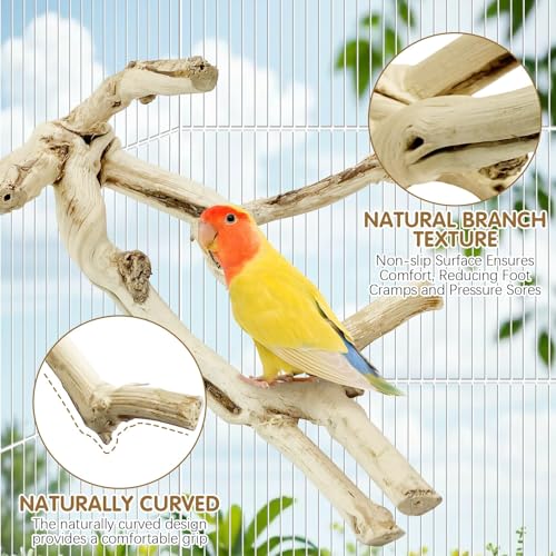Image of kathson Bird Perch Stand 10 inch-12 inch Nature Wood Stand Toy Parrot Cage Branch Paw Grinding Fork Parakeet Platform for Parakeets Cockatiels Conures Finches Love Birds(Small)