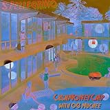 S.Pellegrino (feat. OG Muchee) [Explicit]