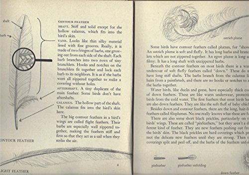 The first book of birds ([First books) B0007DOSE4 Book Cover