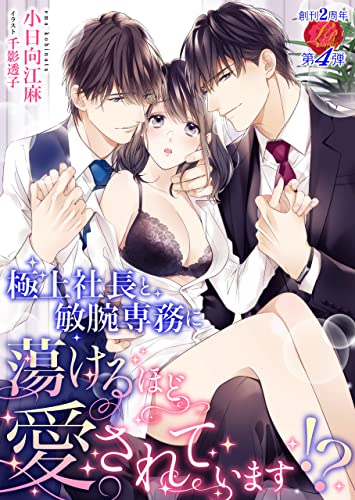 極上社長と敏腕専務に蕩けるほど愛されています!? (濃蜜ラブルージュ)