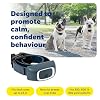 PetSafe Add-A-Dog Remote Training Collar Smaller Version for Small or Medium Dogs Choose from Tone, Vibration, or 15 Levels of Static Stimulation Waterproof and Durable Rechargeable