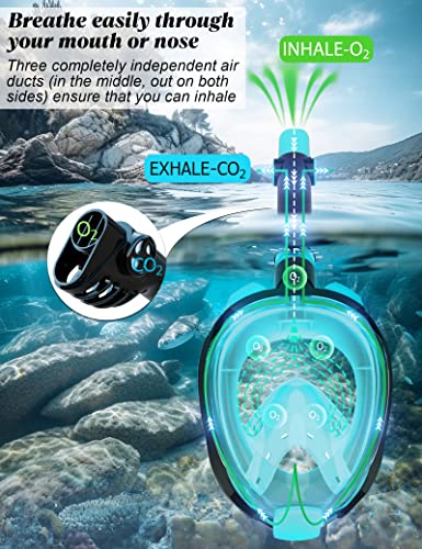 WSTOO Máscara de Snorkel de Cara Completa, Equipo de Snorkel Dry Top para Adultos, Diseño Plegable Panorámico de 180° con Montura para Cámara, Respiración Segura por Boca/Nariz, Anti-Niebla y Anti-Fugas miniatura 4