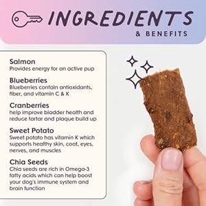 Experience  vibe canine treats wild caught salmon jerky snack bars pet coaching treats pure superfood grain corn poultry  soy free 5oz   cucciolini doodles