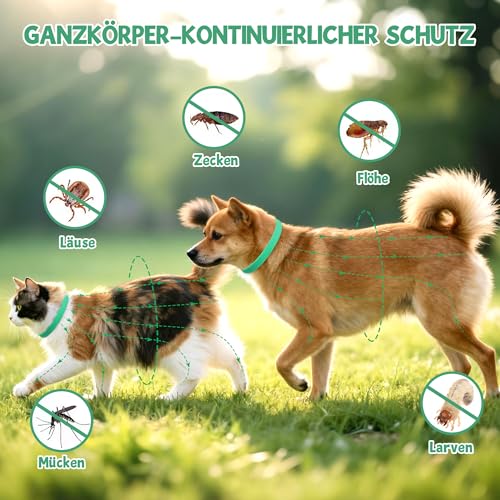 2 Pcs Floh Zeckenhalsband für Katzen & Hunde | Bis zu 16 Monate Langzeitschutz | Natürlicher Floh- und Zeckenschutz | Wasserdichter Verstellbares (Grün, Universal)