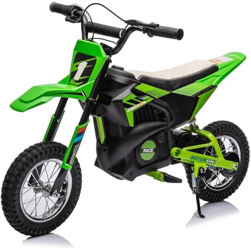 24V Electric Dirt Bike for Kids - 13.6MPH Fast Speed Motorcycle for Kids with 250w Motor and Air-Filled Tires, Green