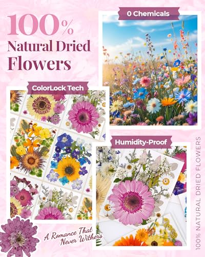 2 Packs de Flores Secas Prensadas para Manualidades miniatura 4