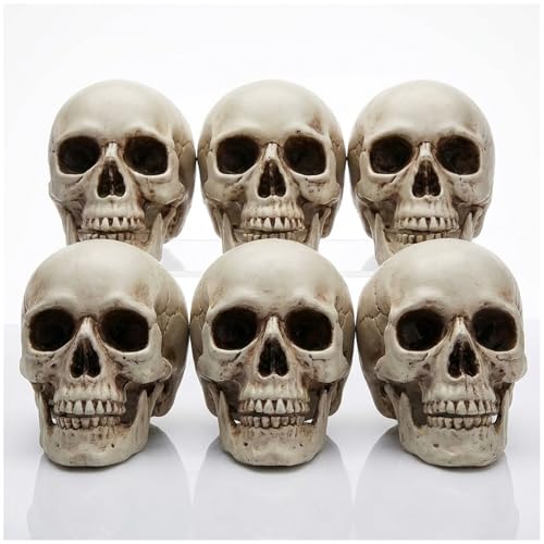 6 Pack 5 Inch Mini Skulls Halloween Decor Plastic Fake Skeleton Skulls Realistic Human Skull Heads for Halloween Crafts Outdoor Decorations and Party Supplies
