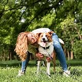 Bodenanker Hund, Erdanker Bodenanker Trampolin Set 17 Zoll Hund Anlegepflock für Große Hunde Robuste Erdanker für Trampolin mit 3m Schleppleine Rostfrei Sicherung Set für Kleine Bis Mittlere Hunde