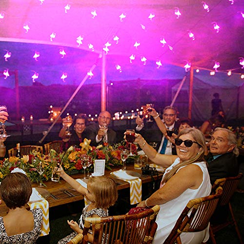 Enshui Battery String Lights Crystal Flamingo Lights, 10Ft 20 Led Battery Powered Fairy Lights String, Indoor/Outdoor Patio Garden Party Girls Room Christmas Decoration (Flamingo Pink) #TOP4