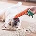Amzeeniu Hundespielzeug,16 Pcs Seil Ball Hunde robuste Zähne Kauen langlebig Spielzeug Zahntraining Set Für Kleine mittelgroßen Hund Interaktives Spielset Unzerstoerbar BaumwollknotenTau Tier