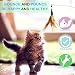 Pawaboo Juguete/Pluma de Gato - Interactive Colector del Gato con Extra Largo...