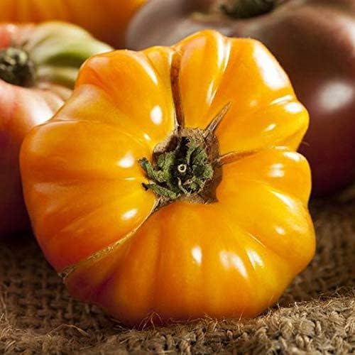 Miniatura 3 de Amana Semillas de tomate herencia de bistec naranja para plantar, más de 50 semillas tradicionales por paquete, semillas sin OMG, (semillas de