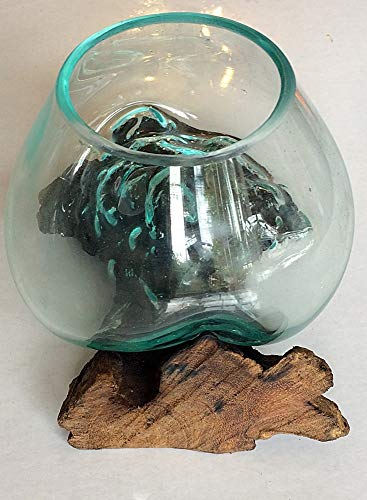 Vase en verre finement soufflé sur une racine de teck - Bol de 12 à 13 cm de diamètre - Idéal pour les fleurs ou un terrarium intérieur - chacun unique Cover