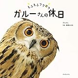 もふもふフクロウ ガルーさんの休日